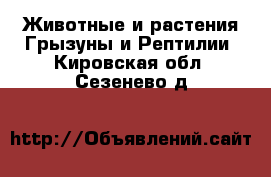 Животные и растения Грызуны и Рептилии. Кировская обл.,Сезенево д.